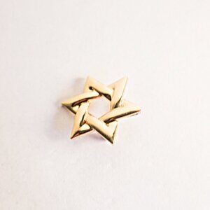 NEW Star of David Brooch